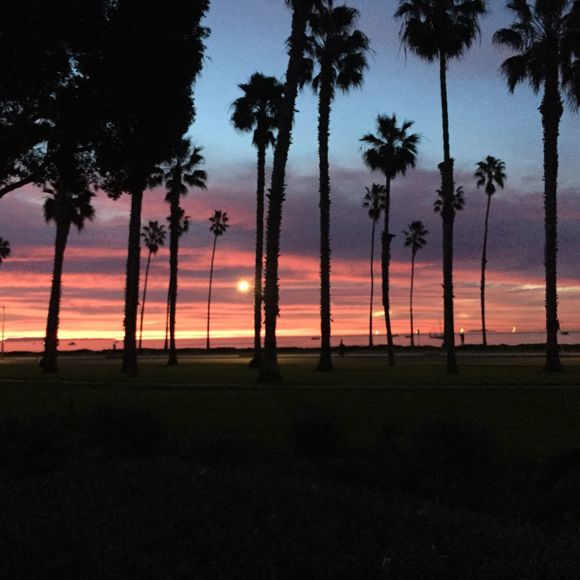 Meet your Posher, Sara - Picture 1 of 1